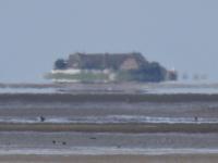 Pelworm - Hallig Hooge