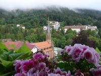 Bad Wildbad - Baumwipfelpfad - Aussichtsturm