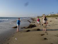 Los Angeles - Shoping - Torrance Beach - Yum Thai