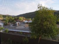 Lone Pine - Yosemite NP - Mariposa