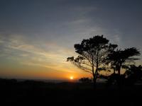 San Francisco - Santa Cruz - Monterey