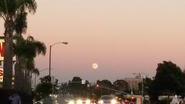 Los Angeles - Redondo Beach - Venice Beach