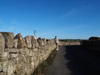 Limerick - Cliffs of Moher - Kinvarra - Gallway