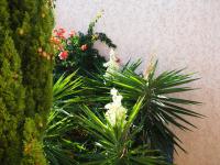 Ile-Rousse - Plage de Bussaglia - Porto - D81 - Ajaccio