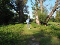 Marchegg - Schloss Niederweiden - Heinburg - Donnerskirchen