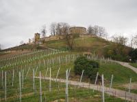 Burgruine Weibertreu