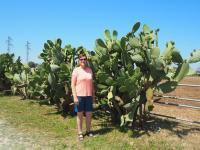 SMdC - Vannulo - Paestum - SMdC