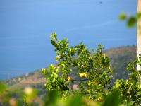 SMdC - Pollica - Casal Sottano - Prignano Cilento - SMdC