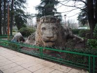 Fez - Ifrane - Berber Apes - Nomad Housing - Tighiourine - Sunset - Merzouga