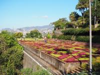 Madeira - Funchal, Botanic Garden, Museum and Markt Hall