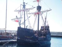 Madeira - Dolphins & Wales watching