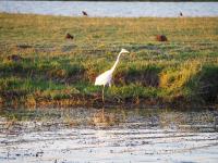 The African South - Day 9 - Divundu - Kasane