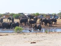 The African South - Day 12 - Victoria Falls - Nata